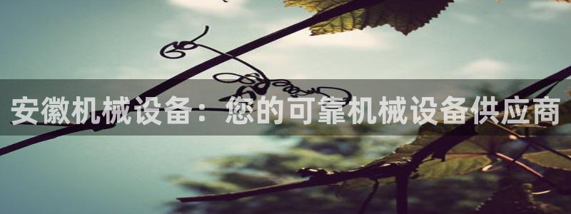 j9九游会买u多少一个
