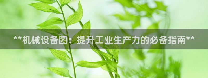 ag九游会