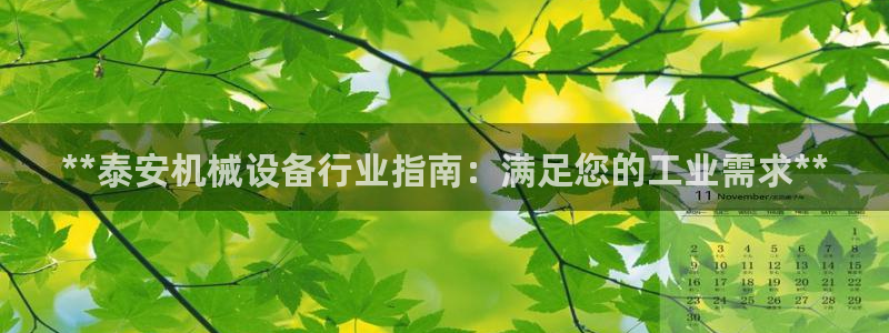 九游会是干嘛的软件