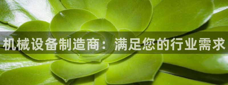 j9九游会平台信誉怎么样