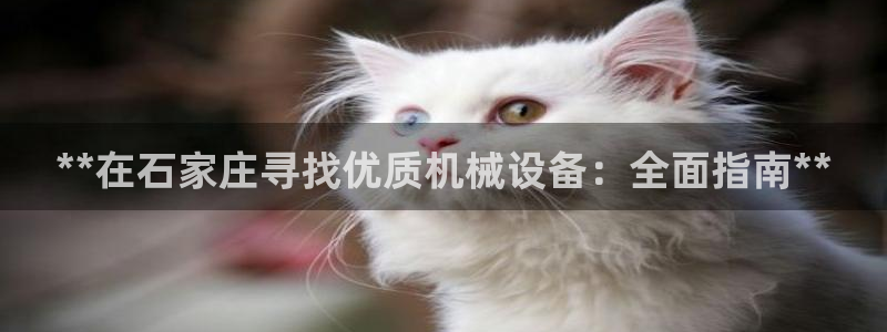 九游会游戏真人