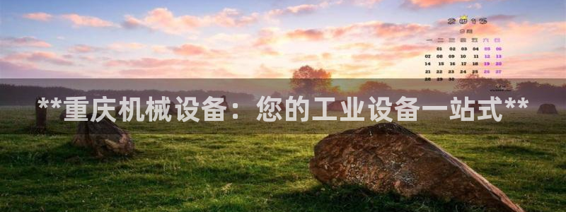 九游会官网 登录网站