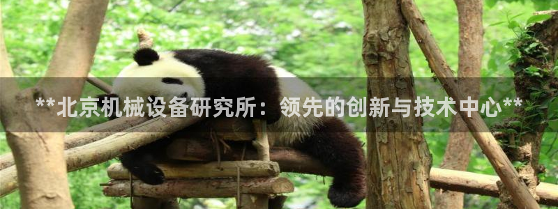 九游会集团币圈