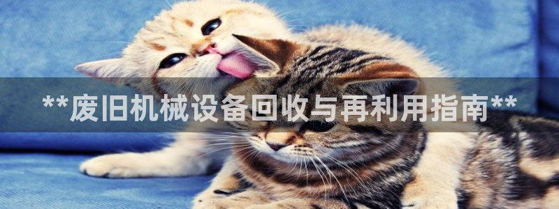 j9首页