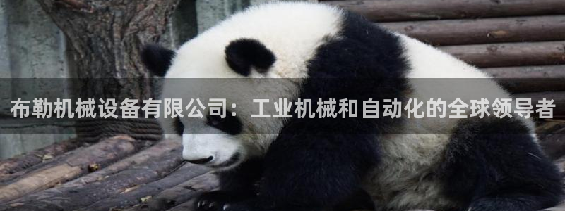 九游会官网app下载