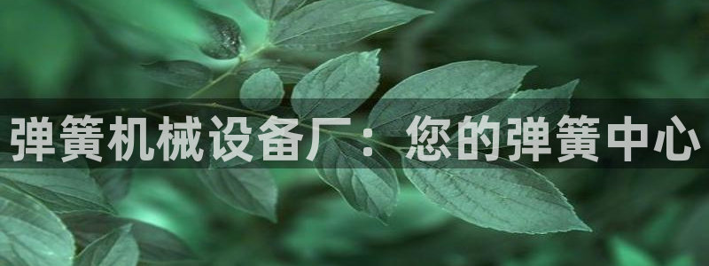 九游会agj9