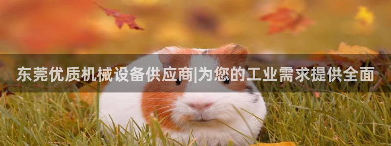 J9九游会老网站