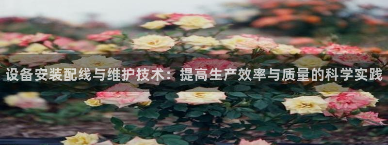 九游会 app下载