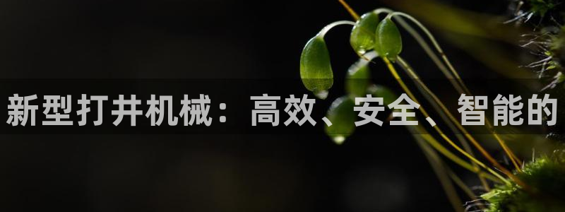 j9九游会登陆入口
