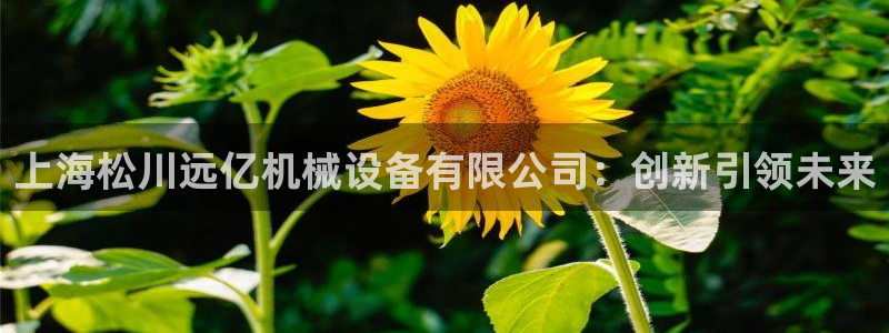九游会集团 | 首页