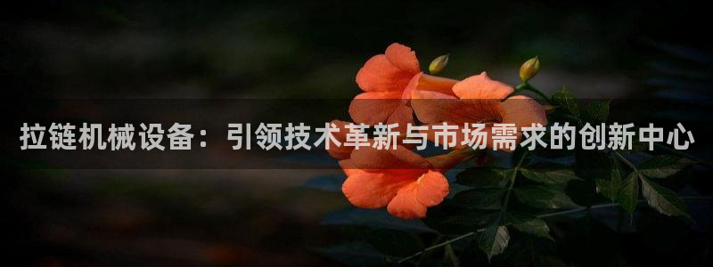 九游会ag官方网站在哪